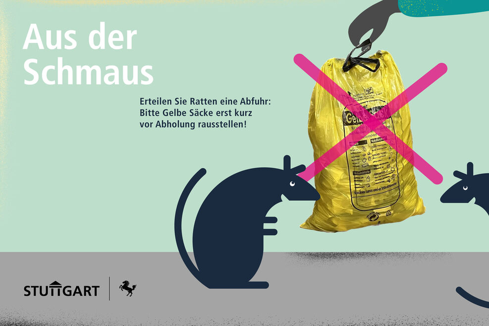 Eine der Grafiken, die im Zuge der Kampagne zum Rattenmanagement der Stadt Stuttgart entstanden sind. Zu sehen sind zwei gezeichnete Ratten, links und rechts von einem gelben Sack platziert. Es ist zudem ein Text zu lesen: "Erteilen Sie Ratten eine Abfuhr: Bitte Gelbe Säcke erst kurz vor Abholung rausstellen!" Im oberen Bereich steht in größerer Schrift: "Aus der Schmaus".